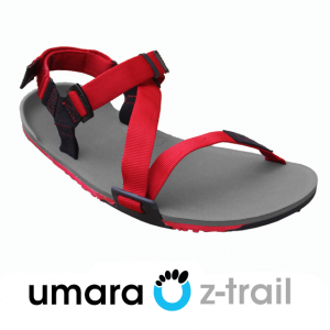 Z-Trail Men's Sandal